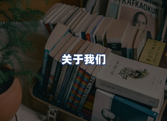 关于我们